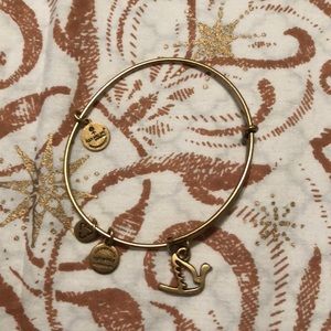 Alex and Ani Dove charm
